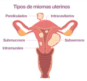 SCGinecólogos